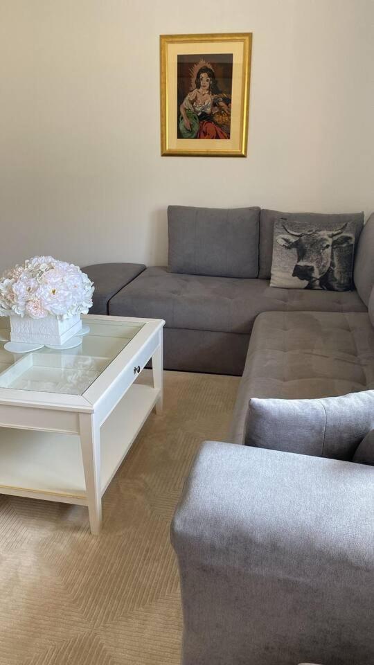Apartment Angelina Capljina Bagian luar foto